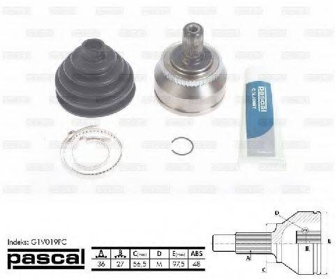 PASCAL G1V019PC