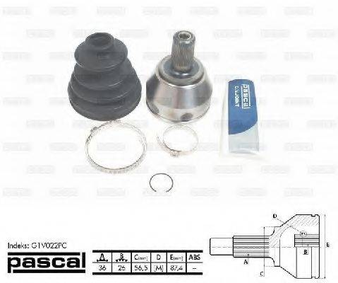 PASCAL G1V022PC
