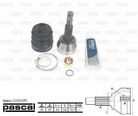 PASCAL G1X013PC