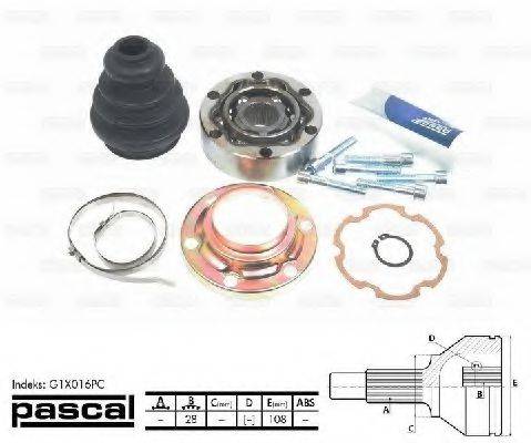PASCAL G1X016PC