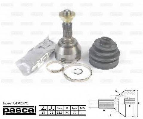 PASCAL G1X024PC