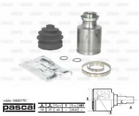 PASCAL G83017PC
