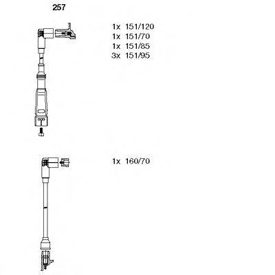 BREMI 257