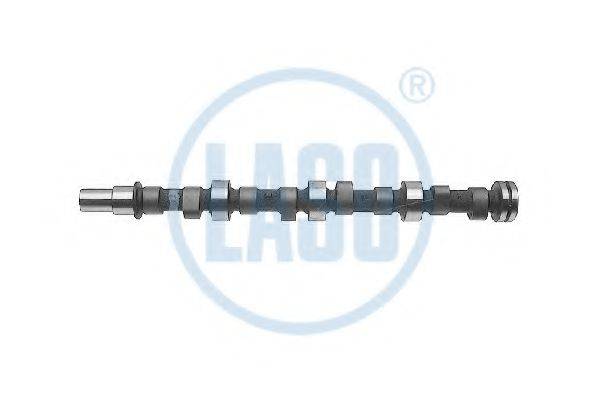 LASO 20050014