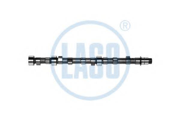 LASO 20050024