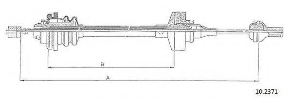 CABOR 10.2371