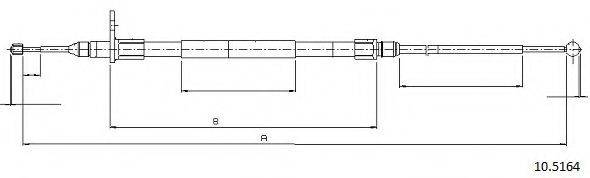 CABOR 10.5164