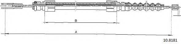 CABOR 10.8181