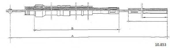 CABOR 10.853