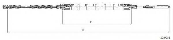 CABOR 10.9031