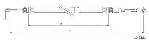 CABOR 10.9581