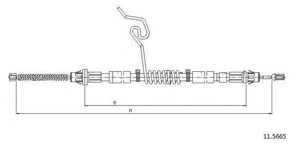 CABOR 11.5665