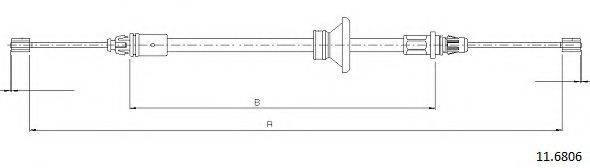 CABOR 11.6806
