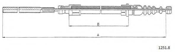CABOR 1251.8