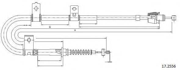 CABOR 17.2556