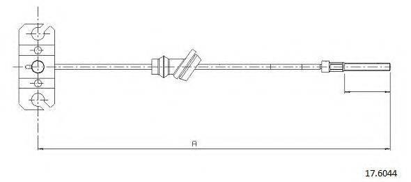 CABOR 17.6044