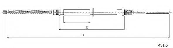 CABOR 491.5