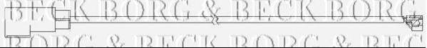 BORG & BECK BWL3109