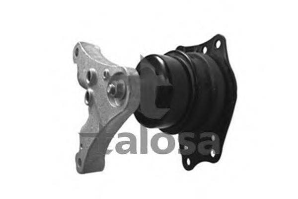 TALOSA 61-05317