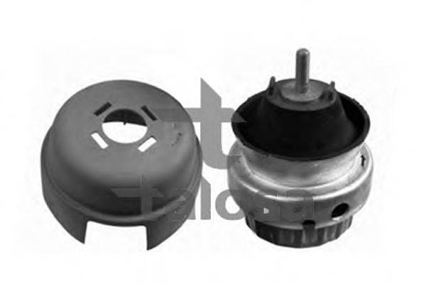 TALOSA 61-06581