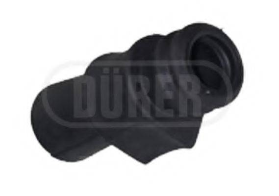 DURER p201