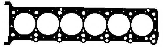 WILMINK GROUP WG1195156
