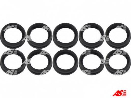 AS-PL SRS0021
