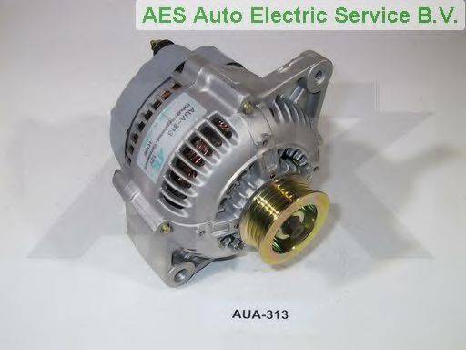 AES AUA-313