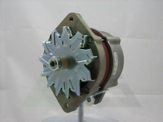 AES IA1181