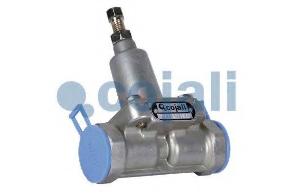 COJALI 2206114