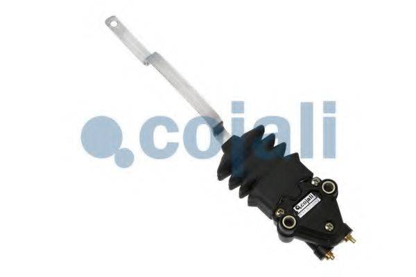 COJALI 2214505