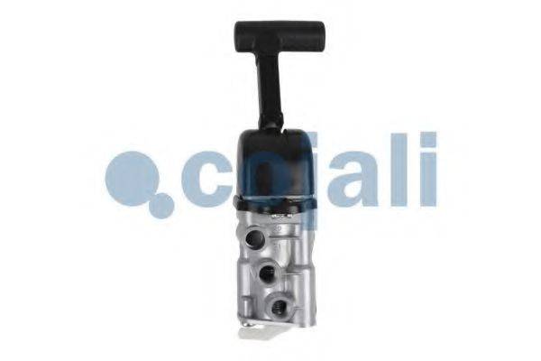 COJALI 2224423