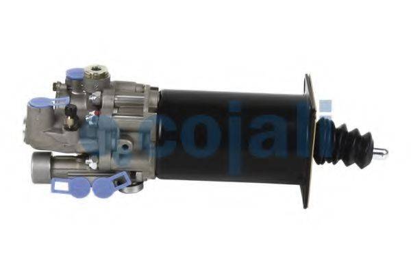COJALI 2250234