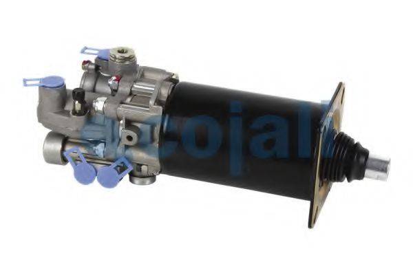 COJALI 2250235