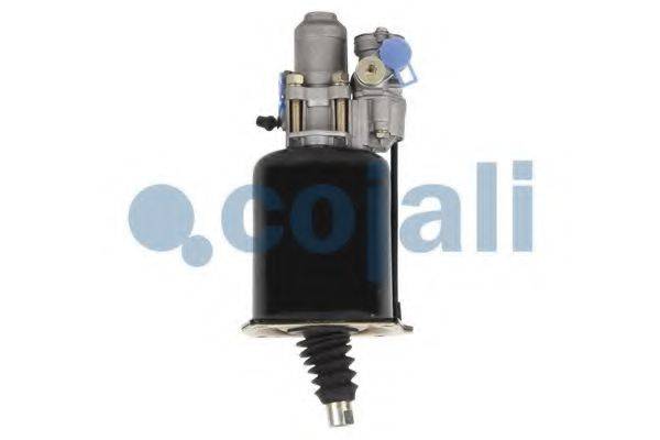 COJALI 2250252
