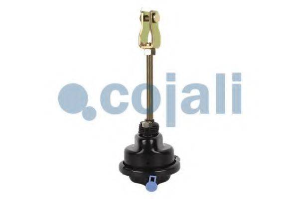 COJALI 2251100
