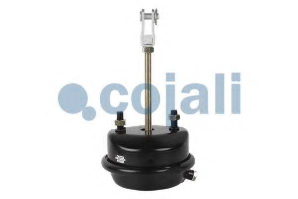 COJALI 2251111
