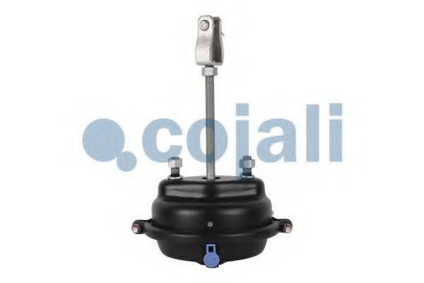 COJALI 2251113