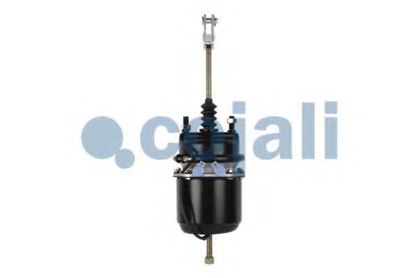 COJALI 2251402