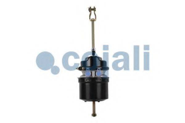 COJALI 2251417
