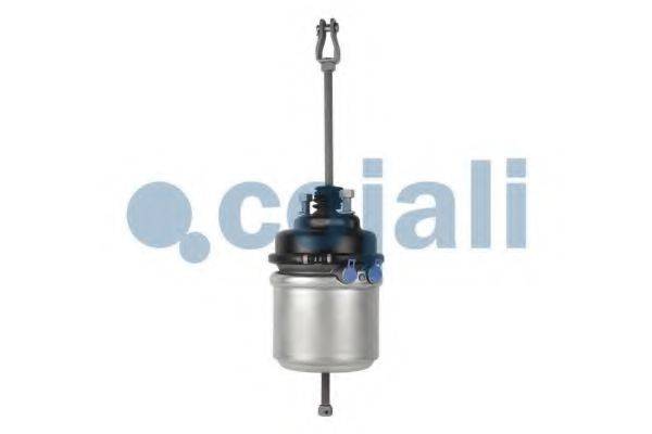 COJALI 2251420