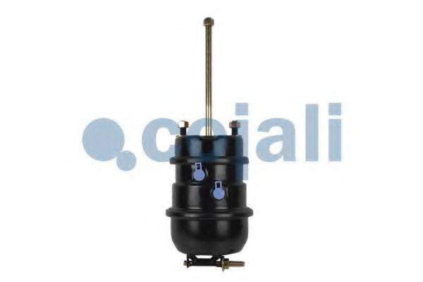 COJALI 2251429