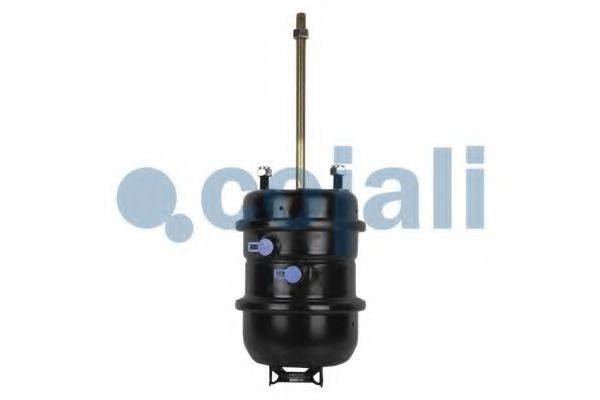 COJALI 2251431