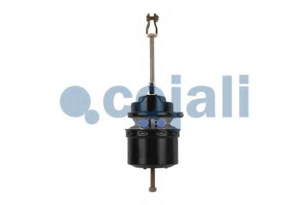 COJALI 2251503
