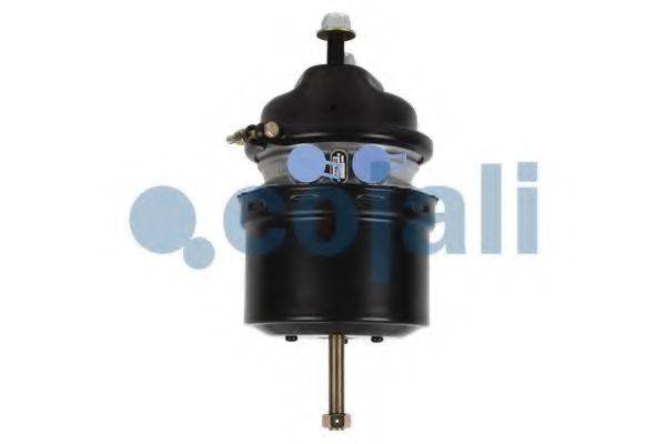 COJALI 2251510