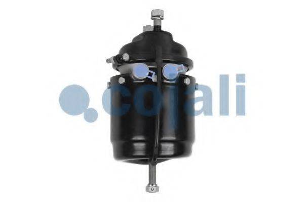 COJALI 2251517