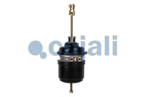 COJALI 2251524