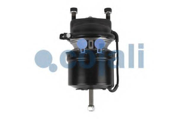 WABCO 9254248010 Гальмівний циліндр із пружинним енергоакумулятором