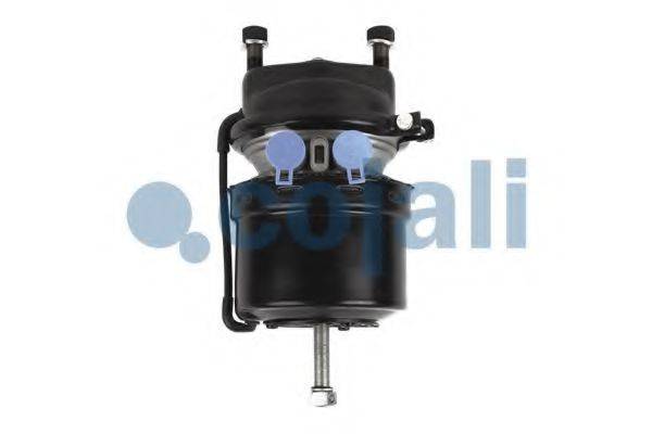 WABCO 9254261000 Гальмівний циліндр із пружинним енергоакумулятором