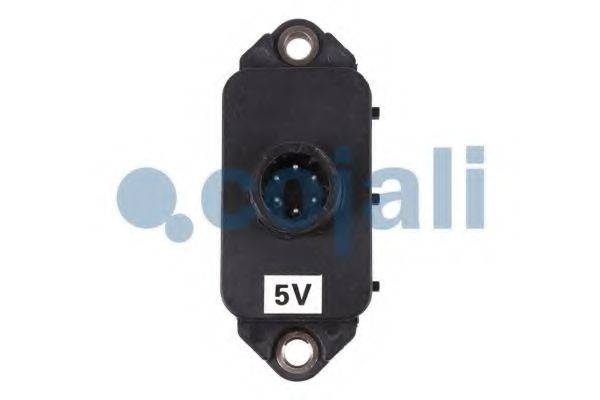 COJALI 2260241